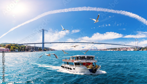 Obraz na płótnie The ship is sailing on the Bosphorus with many seagulls around it, Istanbul w salonie