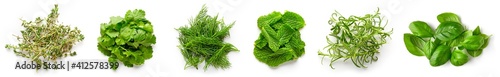 Panel kuchenny z motywem Various herbs isolated on white, from above