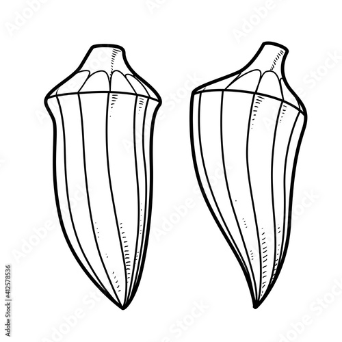 Two okra linear drawing on white background