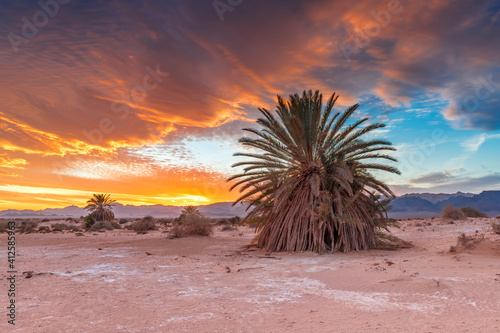 Sandy desert at sunset, Middle East