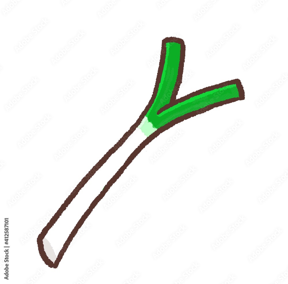 Obraz premium R：もっとメルヘンな野菜 ネギA