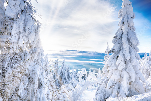 snowy trees in winter sunset © jaroslavkettner