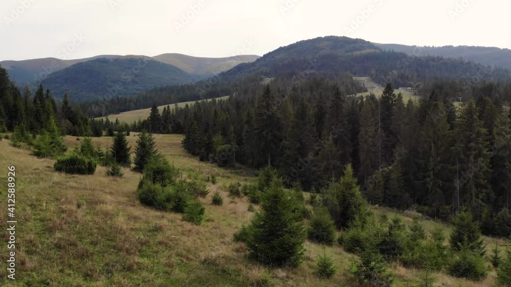 Aerial fly over green meadow and forest with beautiful summer mountains landscape Aerial fly over green meadow and forest with beautiful summer mountains landscape