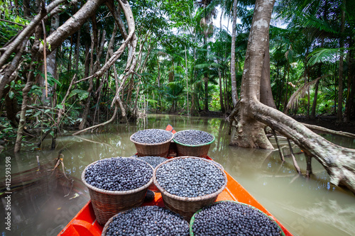 Fresh acai berries fruit in straw baskets in red boat and forest trees in the Amazon rainforest, Brazil. Concept of environment, conservation, biodiversity, healthy food, ecology, agriculture. photo