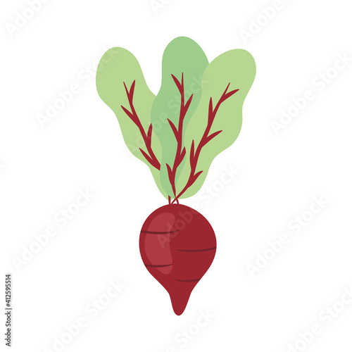 radish vegetable icon, colorful design