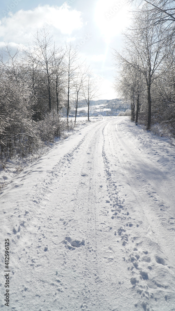 Cold frosty winter landscapes with trees and frozen branches during winter near Fulda, Germany.