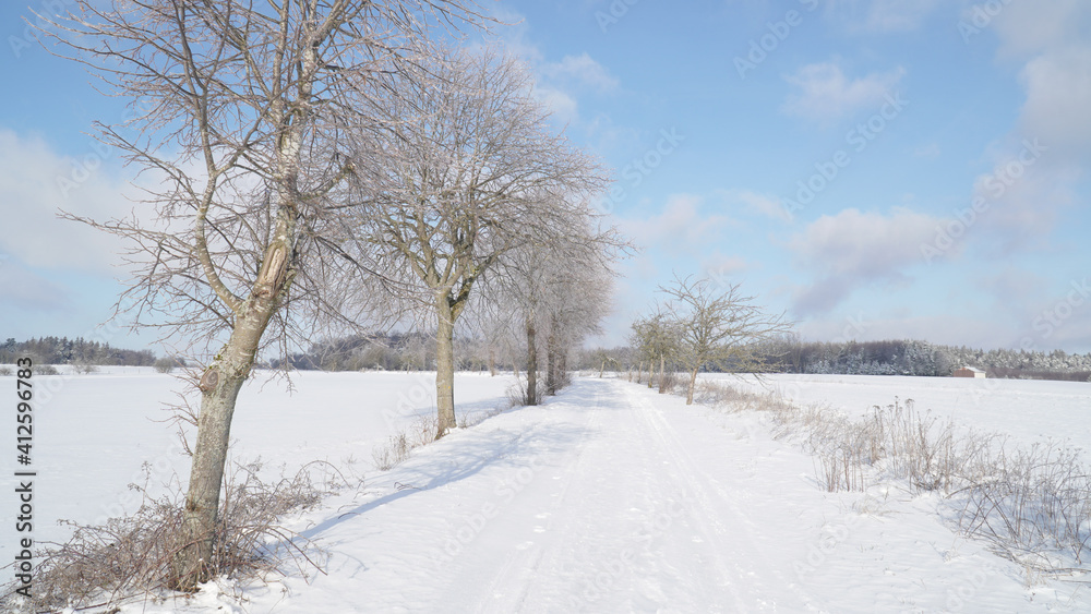 Cold frosty winter landscapes with trees and frozen branches during winter near Fulda, Germany.