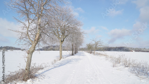 Cold frosty winter landscapes with trees and frozen branches during winter near Fulda, Germany. © Christopher