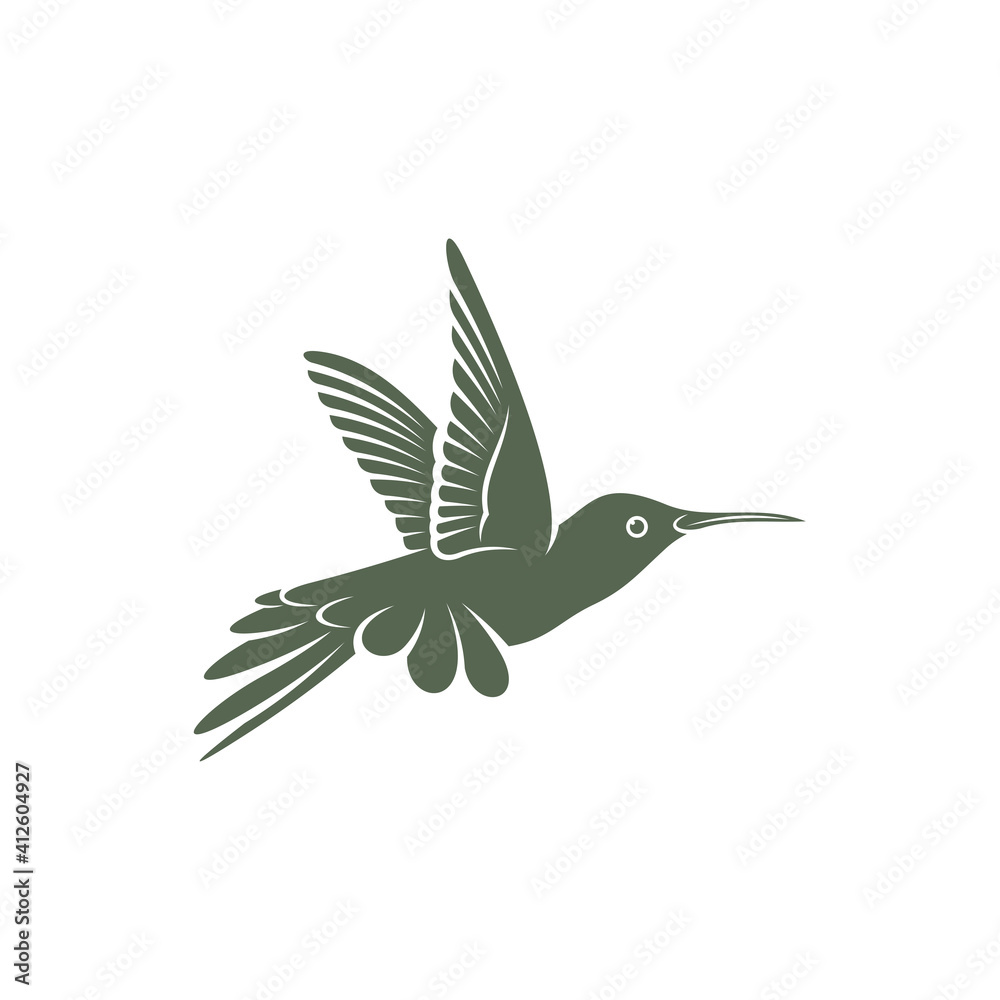 Fototapeta premium Hummingbird design vector illustration, Creative Hummingbird logo template, icon symbol