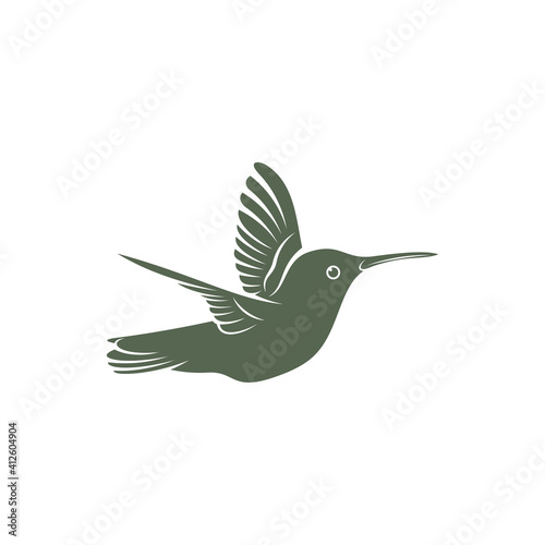 Hummingbird design vector illustration, Creative Hummingbird logo template, icon symbol