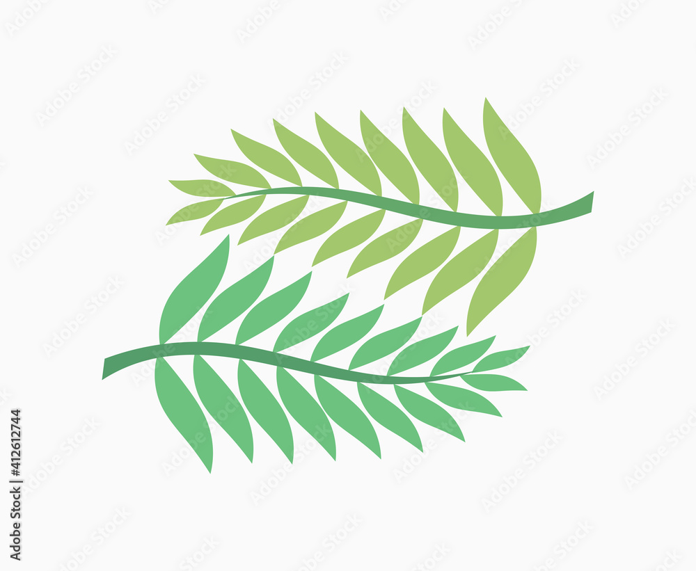 Two green palm leaves. Two green palm leaves.