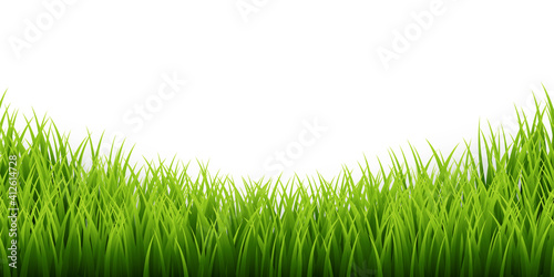 Green grass border set on white background. Vector Illustration