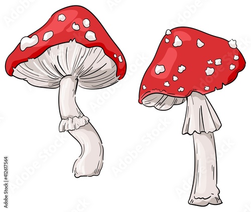Hand drawn sketch amanita mushrooms vector illustration