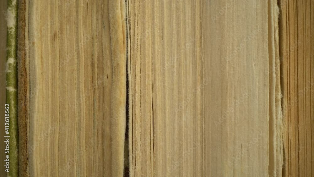 Macro edges of the pages of an old book. Macro edges of the pages of an old book.