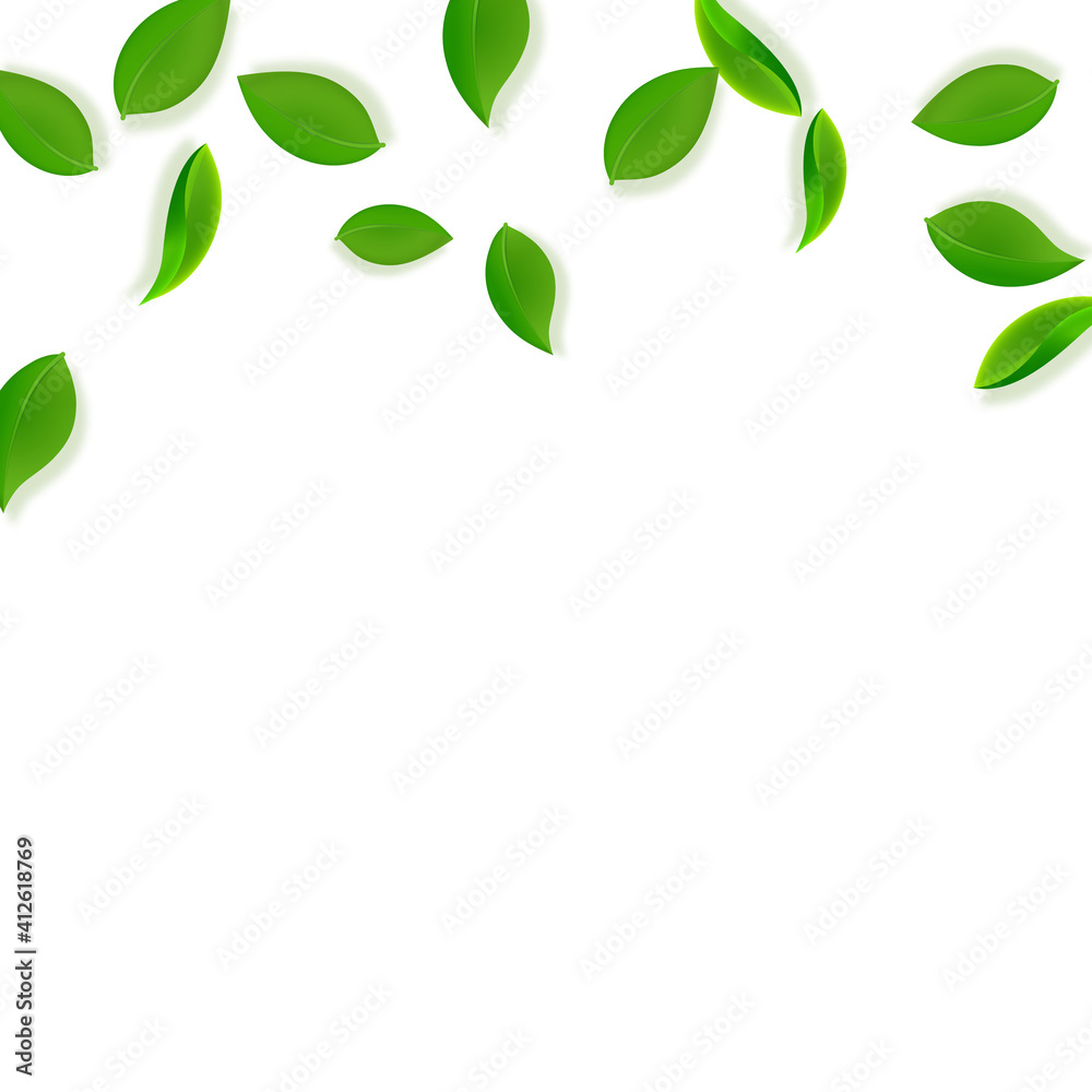 Falling green leaves. Fresh tea neat leaves flying Falling green leaves. Fresh tea neat leaves flying