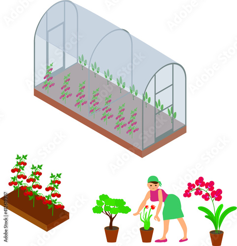Colored and isolated isometric 3d greenhouse icon set with seedling and care of plants vector illustration