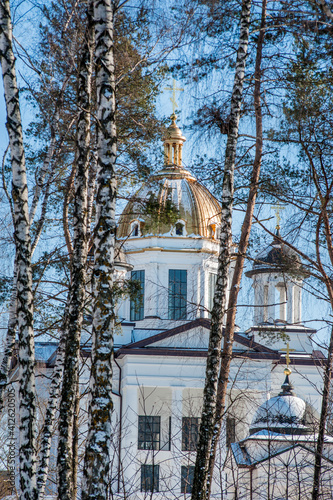 Sunny winter landscape. Frosty trees, gold dome on church