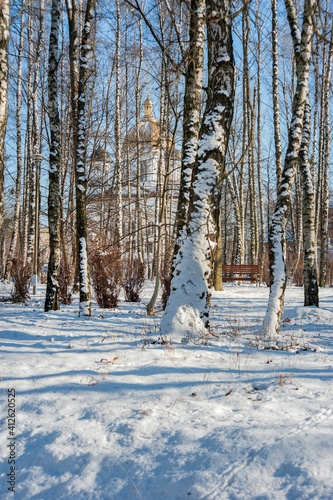 Sunny winter landscape. Frosty birch trees on a sunny day Church and snow-cov...