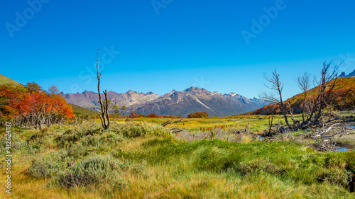 Fotografie Panoramic view over magical colorful valley with austral forests, peatbogs, dead