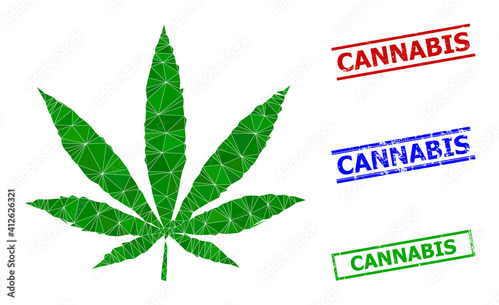 Triangle cannabis polygonal icon illustration, and scratched simple Cannabis rubber seals. Cannabis icon is filled with triangles. Simple seals uses lines, rects in red, blue, green colors. Triangle cannabis polygonal icon illustration, and scratched simple Cannabis rubber seals. Cannabis icon is filled with triangles. Simple seals uses lines, rects in red, blue, green colors.