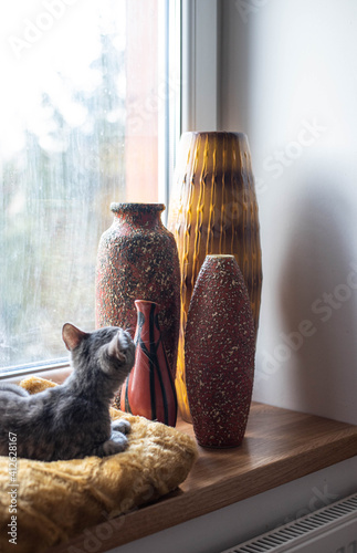 Cat sits on a soft blanket in the window sill and watch the decoration, mid century modern ceramic vases