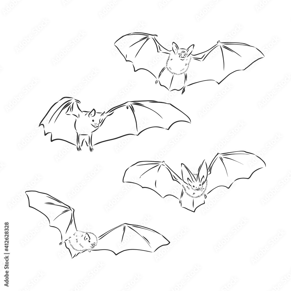 Screaming flying bat with extended wings, hand drawn vector illustration.  bat, vector sketch illustration Stock Vector | Adobe Stock
