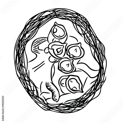 Abstract nest with newly hatched chicks of a small bird-a symbol of the birth of a new life. Vector black and white doodle illustration for design.