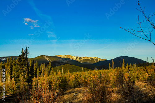 Fall colours adorn the backcountry. Clearwater County, Alberta, Canada