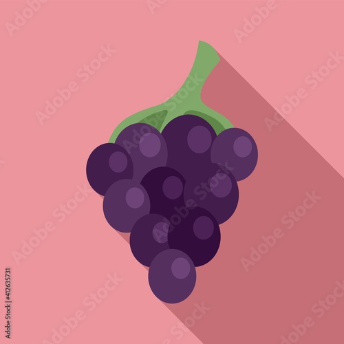 Fresh grapes icon. Flat illustration of fresh grapes vector icon for web design