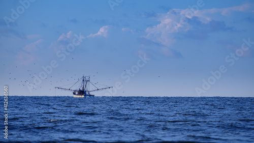 Shrimp boat off the coast of Georgia surrounded by birds.