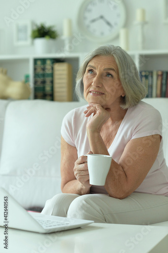 beautiful senior woman using laptop at home