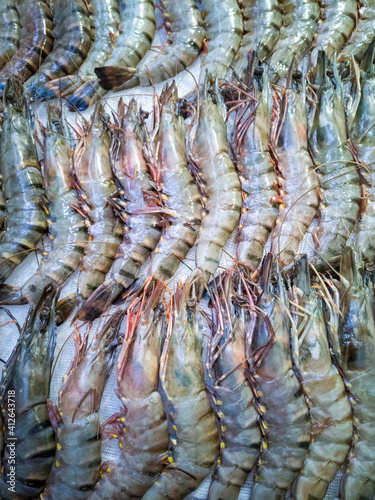 Royal large sea prawns stacked in a row