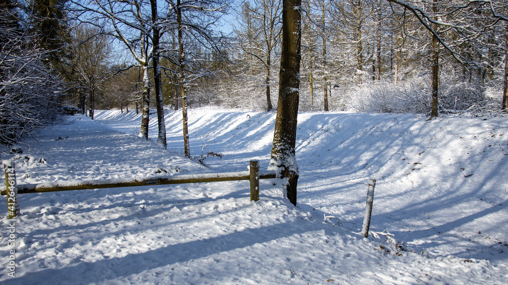 Fototapeta premium winter in the park