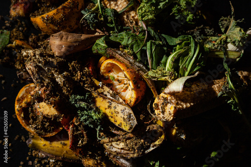 organic fruit and vegetable peels to compost with black background

