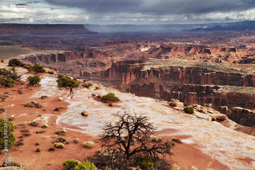 Fototapeta premium Canyonlands National Park, USA
