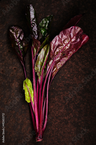 Red stem chard on a dark backdrop. 