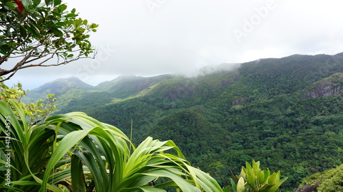 the view from the top of the Morne Blanc Nature Trail, Mahe Island, Seychelles, October