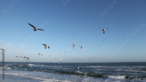 Many seagulls fly over the sea coast of Odessa in the off-season