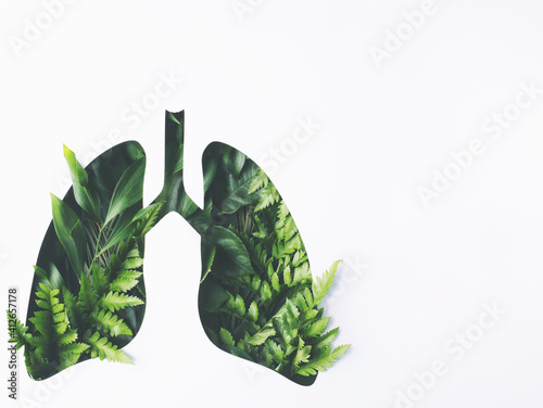 Human lungs made with fresh green plant leaves on white background. Minimal coronavirus or pneumonia concept. Green, world health or environment day and ecology concept. Flat lay.