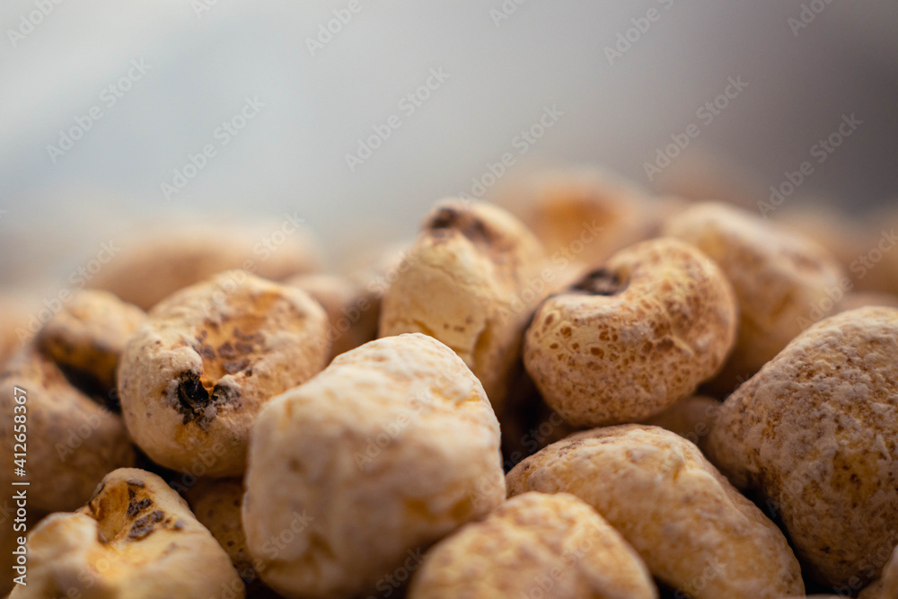 closeup of closeup of