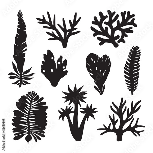 Seaweeds. Black silhouettes. Underwater hand drawn sea plants, ocean plants, coral elements, algae. Hand draw vector illustration.