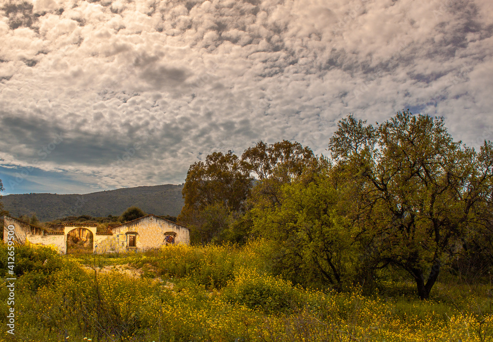 Paisaje de una casa abandonada rodeada de arboles y flores amarillas y un cielo repleto de nubes.