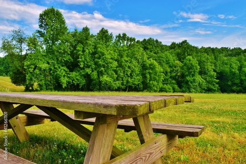 Empty Picnic Table in A Field with Trees and Blue Sky