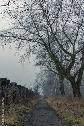 Road to the Szombierki CHP plant in Bytom