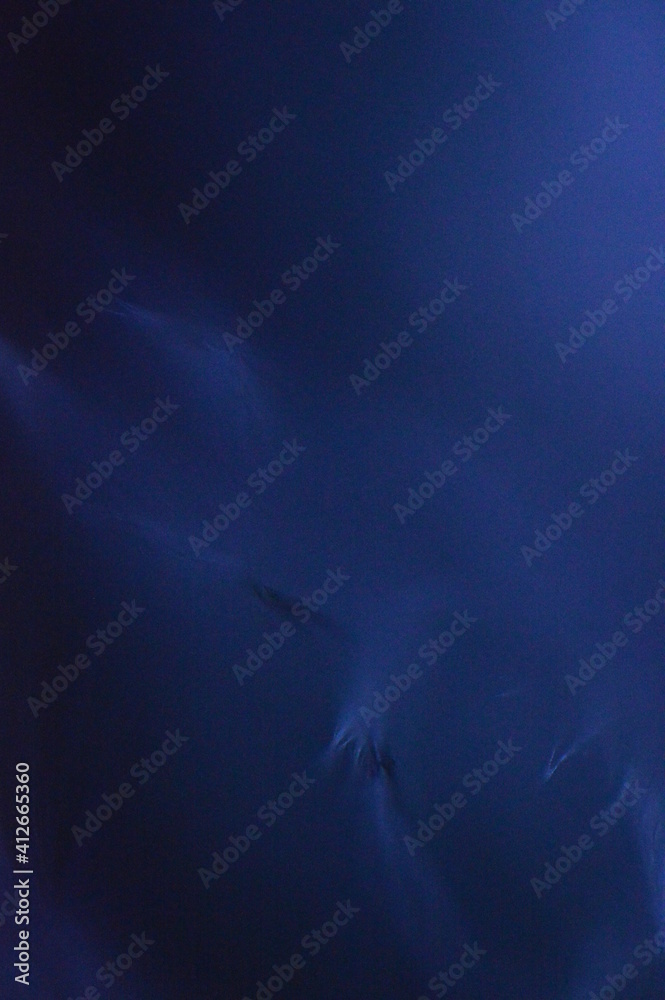 Fototapeta premium Macro