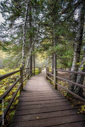 Scenic view of wood trail in the deep woods of Gooseberry Falls State Park in Minnesota 