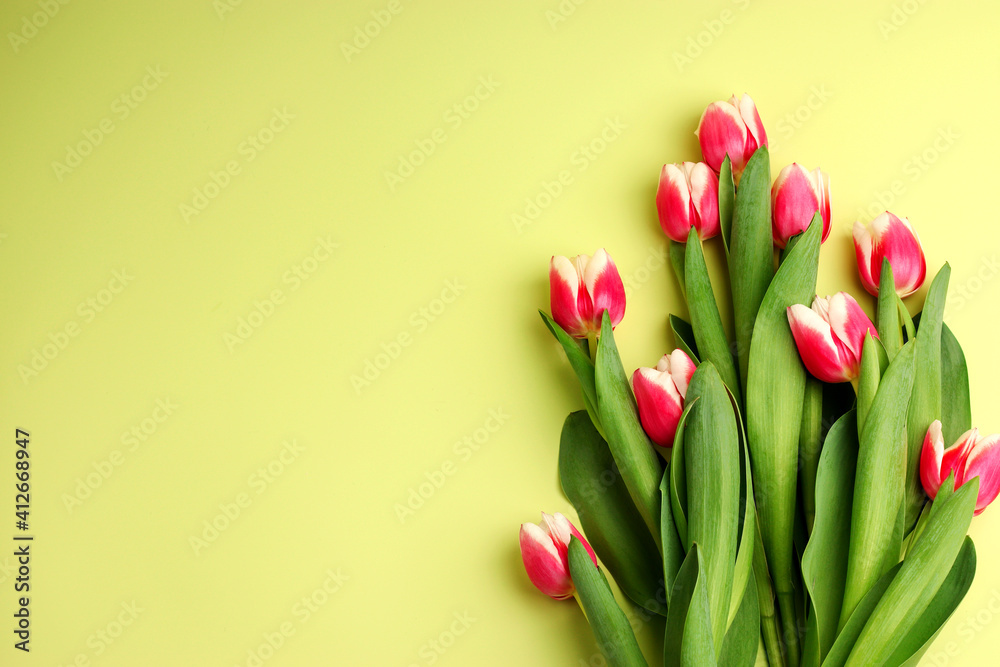 Spring concept, bouquet of tulip flowers on a light background. Women's day, Valentine's day concept, Mother's Day. Flat lay. Copy space.
