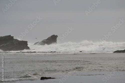 Mavericks Waves Half moon Bay Foggy Day