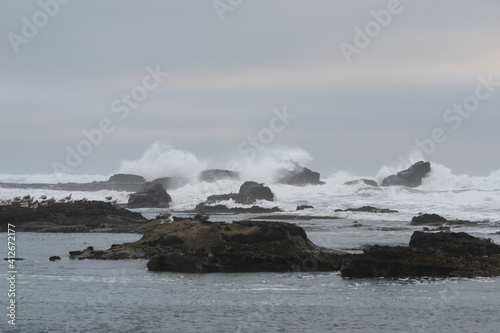 Mavericks Waves Half moon Bay Foggy Day