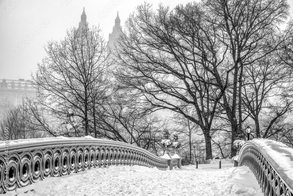 Central Park Bow Bridge Snow Day